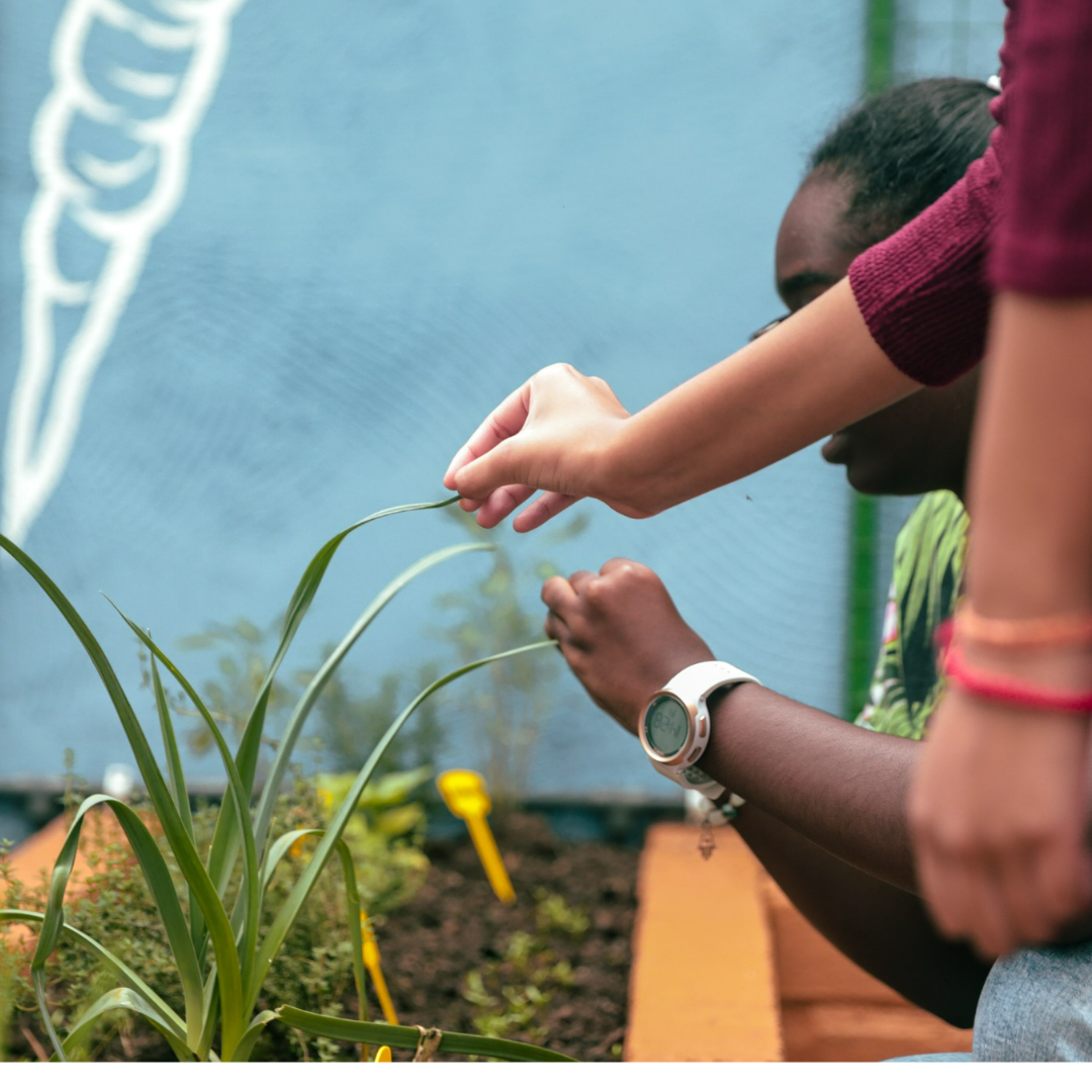Rotary Club of Phoenix - Sensory Garden with Lois LAgesse